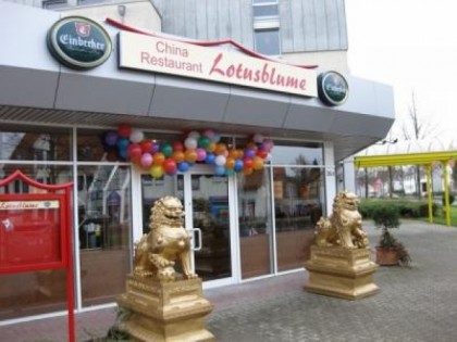 Foto: Lotusblute